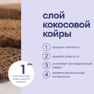 Матрас Базилик Фреш 20 кокос
